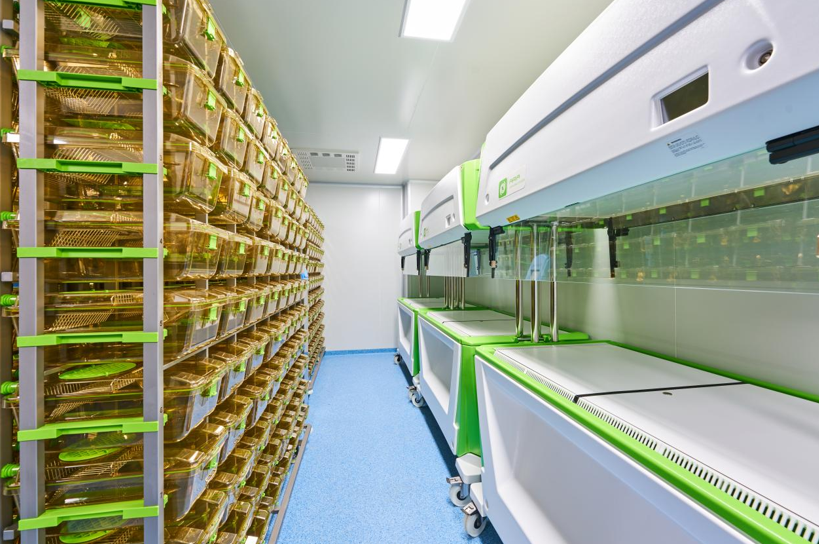 1760344697012069603.png image.png