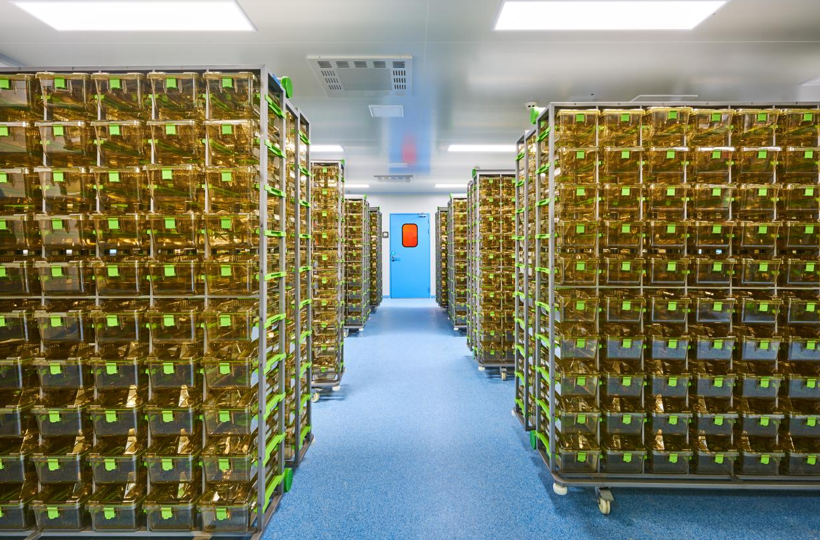 1760344714871077774.png image.png