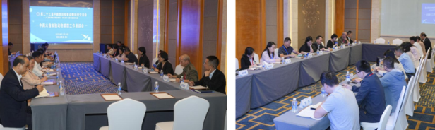 1765932025507018516.png 8c553869-3d4f-42f8-abe2-4dc13745c7b6.png